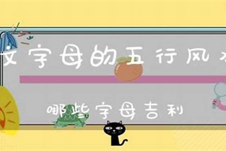 女人梦见和猪打架