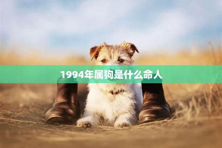 1994年属狗是什么命啊