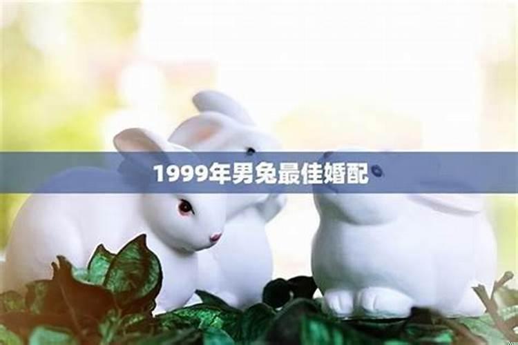 1999年属兔男孩最佳婚姻