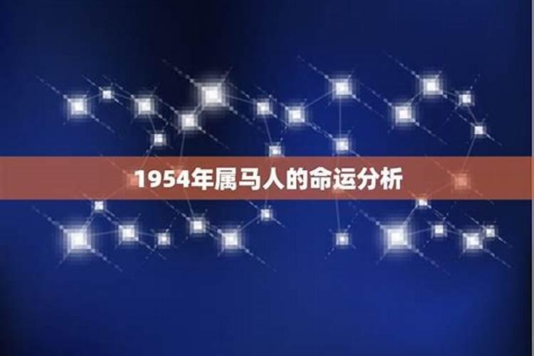 属马的1954年是什么命