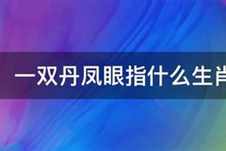 一双丹凤眼是什么生肖.四加一三算是什么生肖