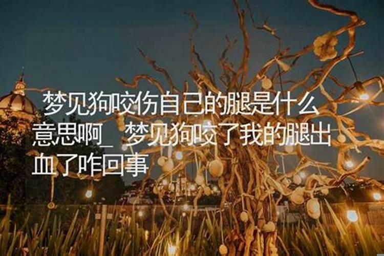 梦到咬狗什么意思啊