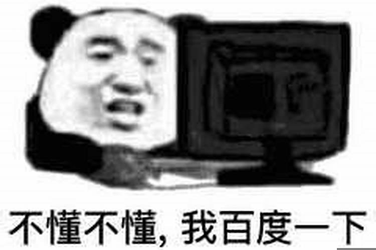 狮子会喜欢金牛吗