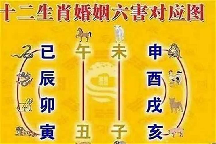 今年结婚避开属相是为什么