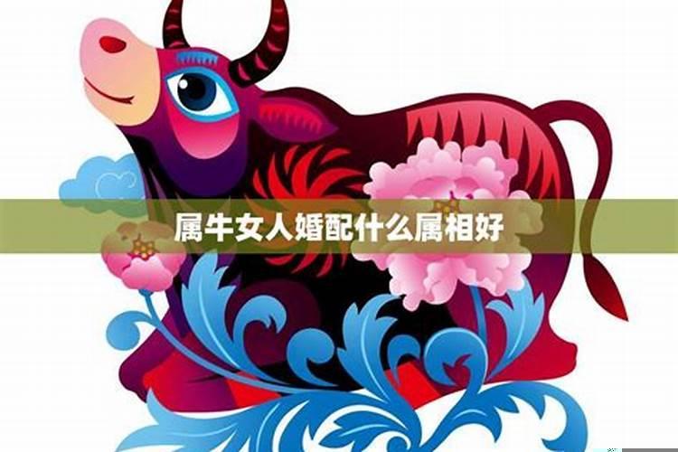 2020年属马的今年怎么样