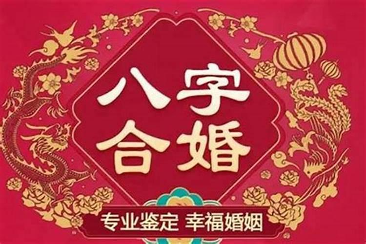 属马在今年的运程运势如何