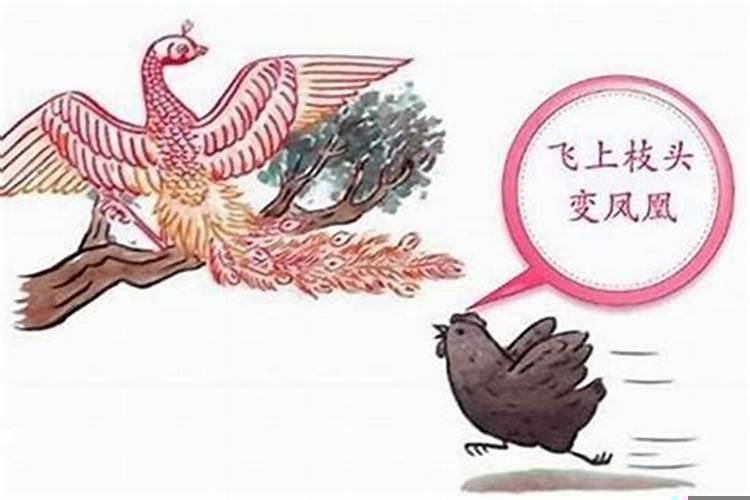 属鸡女孩什么时候出生好命