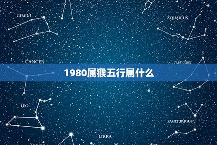 1980年的属猴的是什么命