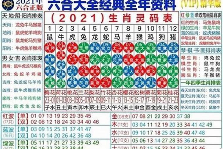 2021年19号是什么生肖码