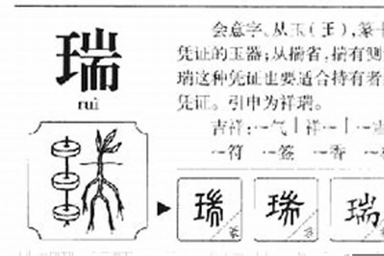 睿五行属性属什么