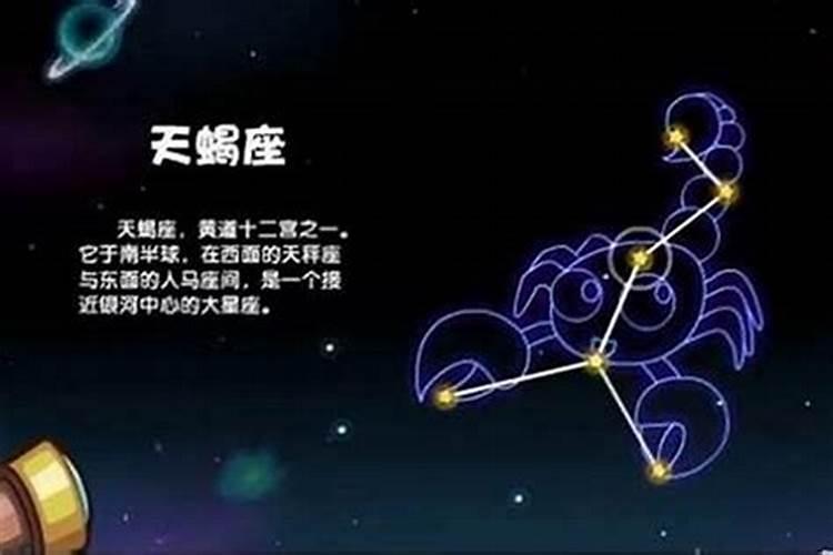 天蝎男和哪几个星座最配