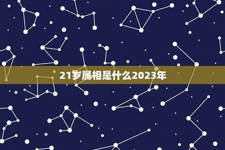 2021年21岁属什么生肖的