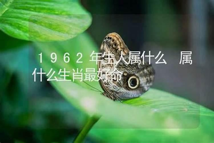 62年属什么命