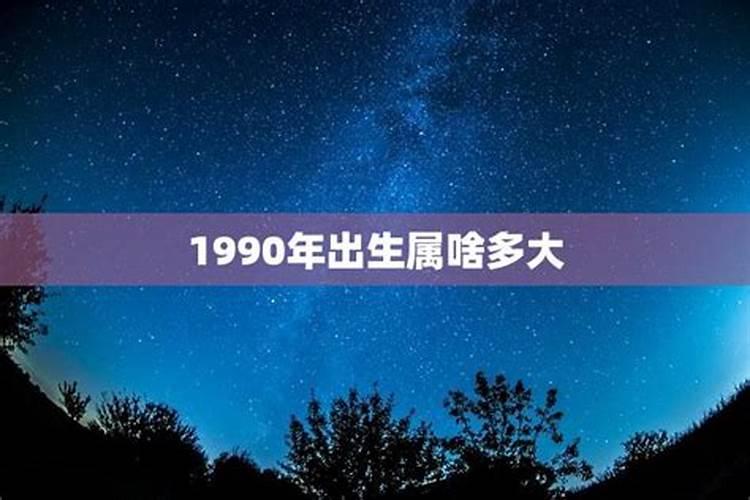 1990年属什么的多大了