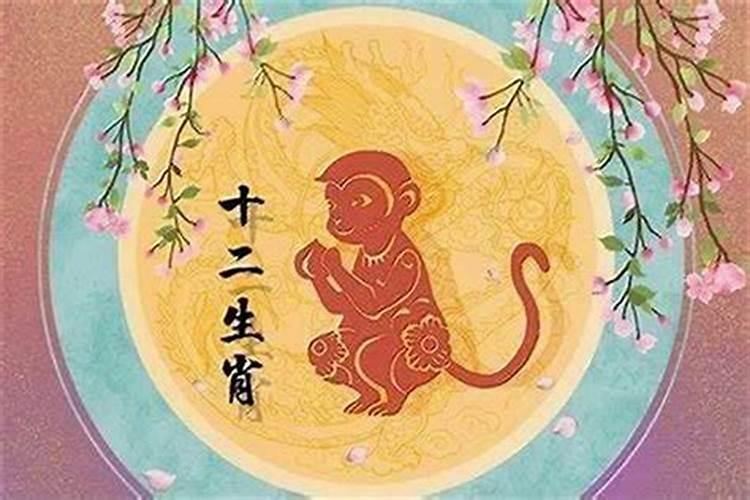 属猴女太聪明