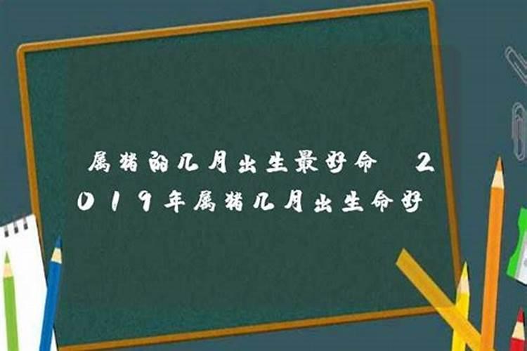 2019年属猪几月份出生好命