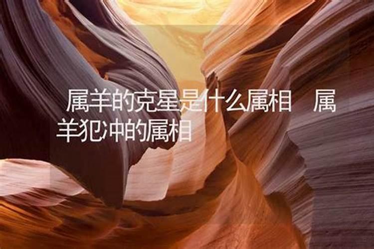 属羊的克星是什么属相的人