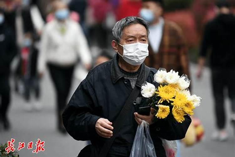 春风桃李又开花指的是什么生肖