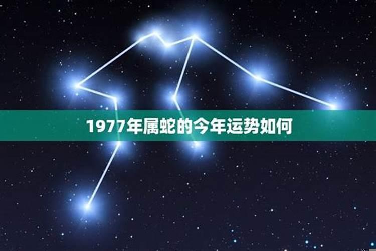 1977年今年运势如何