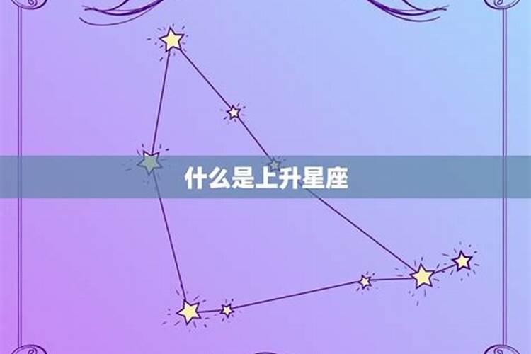 今日星座运势第一星座网