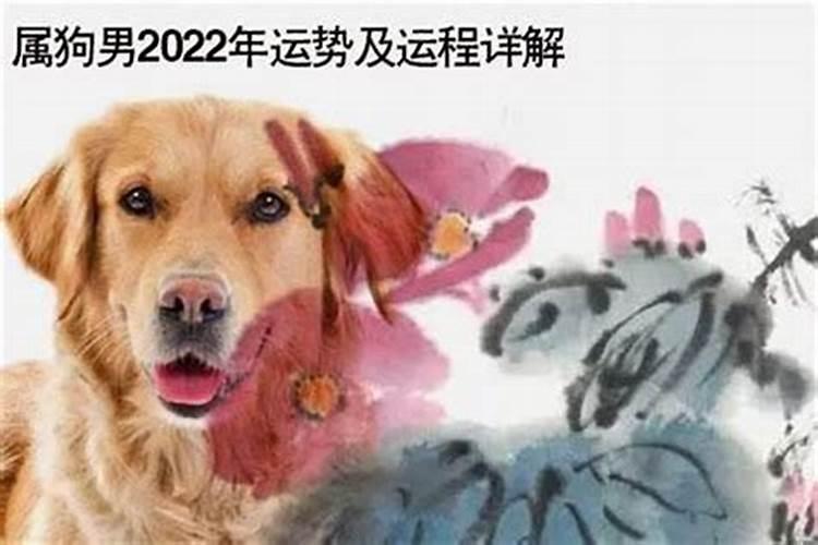 1982狗2021年运势及运程每月运程