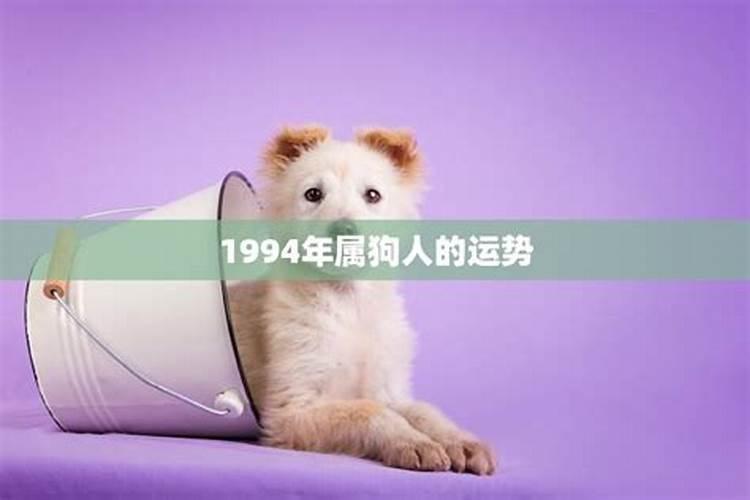 2020年狗的运势1982