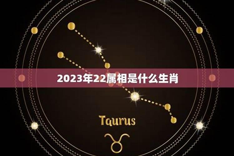 今年是哪个星座的幸运年