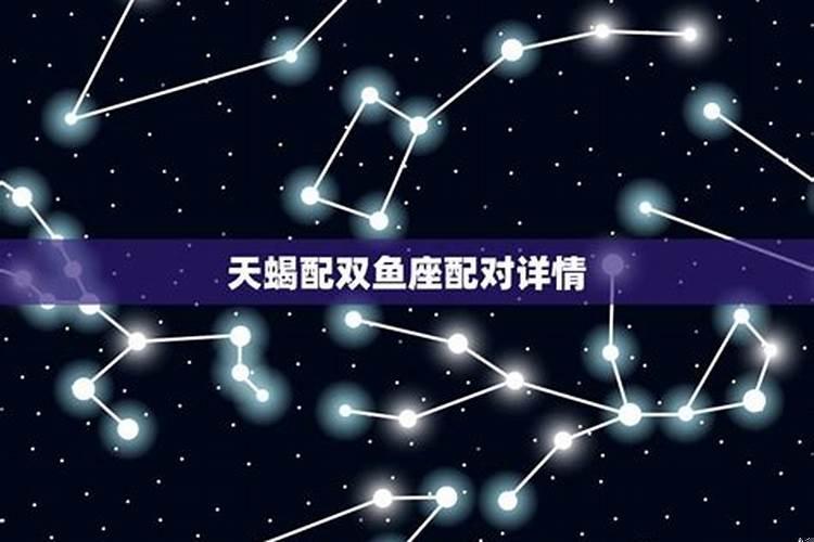 天蝎女跟什么星座配对