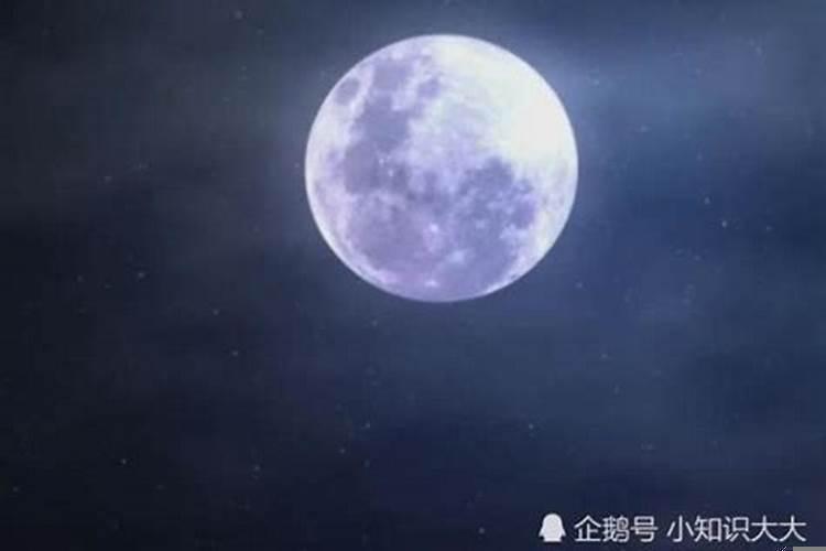 白天黑夜生肖