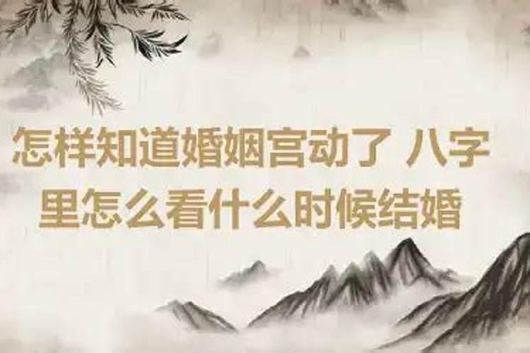 吞吐指什么生肖和动物