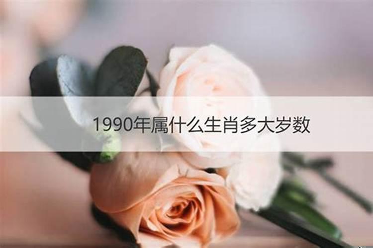 1990年属什么生肖的几岁