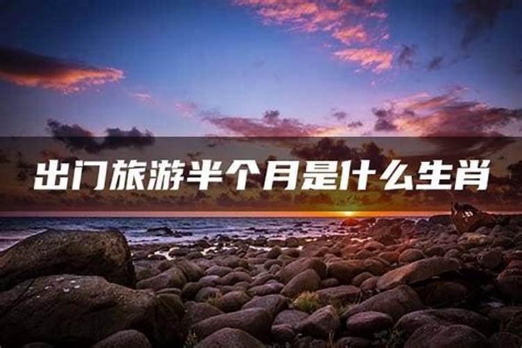 黑夜出门以到家什么生肖