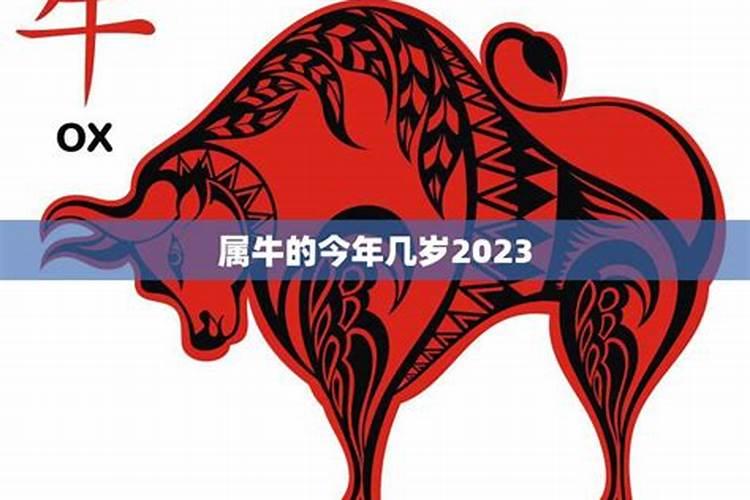 属牛的今年多大岁数2022