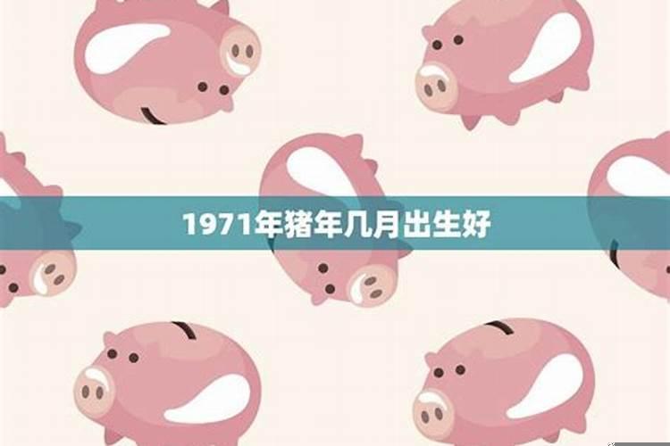 1971年亥时出生的猪命运如何呢