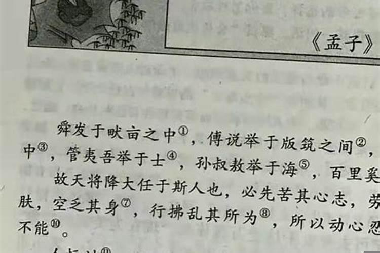 天降大任打一生肖