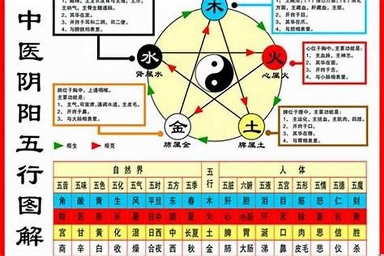 1984年的五行属什么命