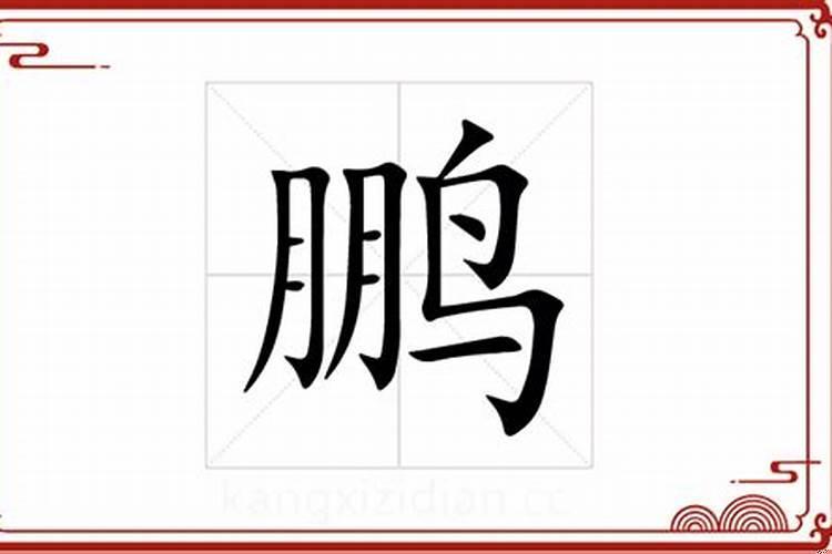 鹏字五行属什么名字寓意