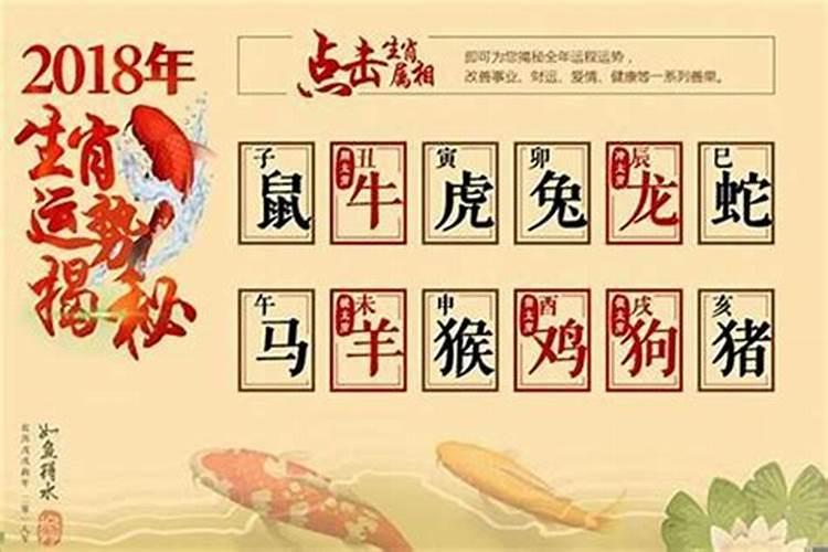 属兔今年11月份的运程