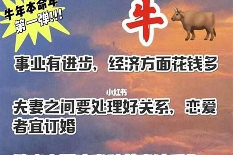 梦见猫扑到自己身上想咬我是什么征兆