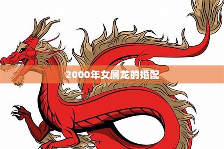 2000年是什么属相