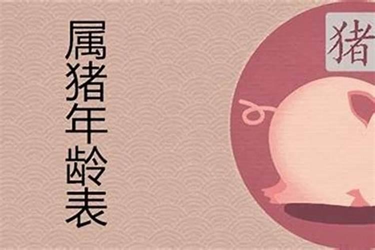 2021属猪的今年多大年龄