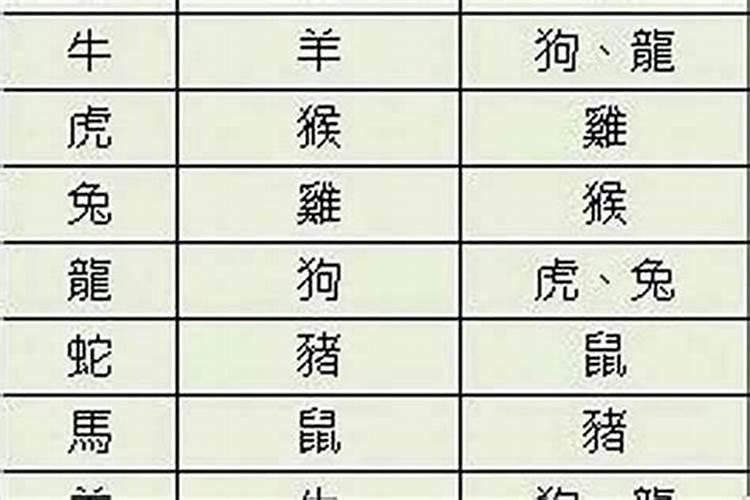 正月牛和七月鼠八字合吗