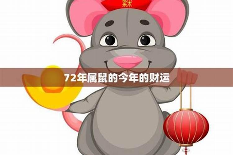 九月鼠今年运势如何