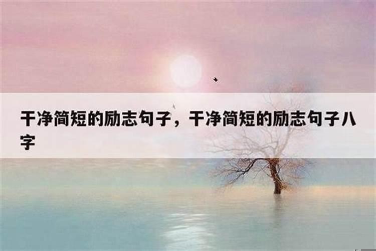 夫妻情深的八字句子