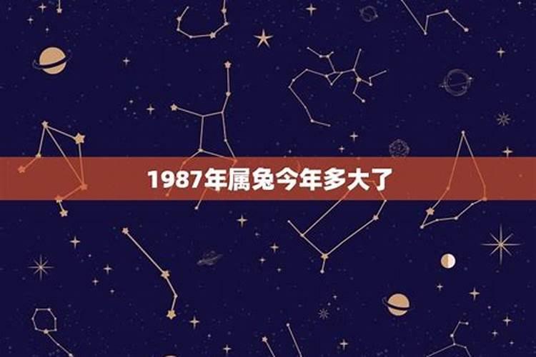 1987年属兔多少岁了