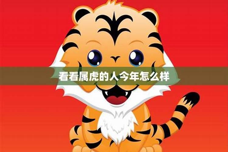 今年属马的财运和运气如何2022