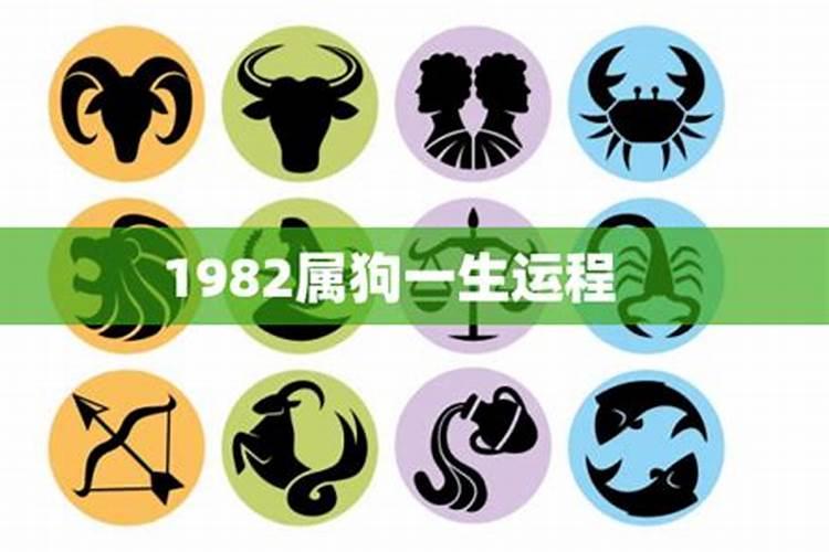 1982年属狗四月份出生的男人