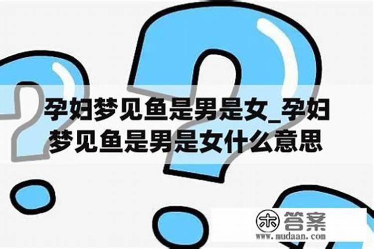 怀孕梦到鱼预示着什么意思