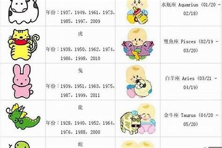 88年的几岁了属什么