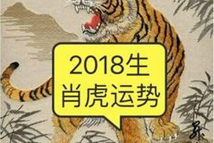 梦见被猫咬意味着什么征兆